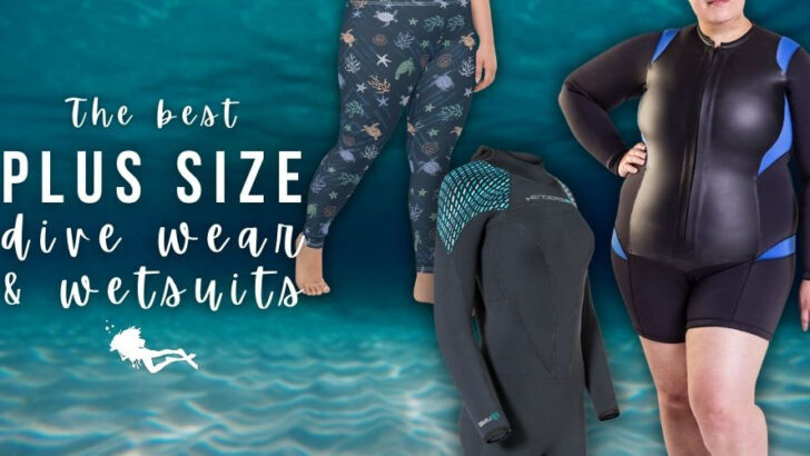 Plus Size Women Two Piece Surfing Swimsuit Wetsuit Long Sleeve Swimwear  Swimsuit Beachwear Swimming Costumes Diving Bathing Suit Push Up Padded Bra  Tummy Control - 2XL US (18-20) 