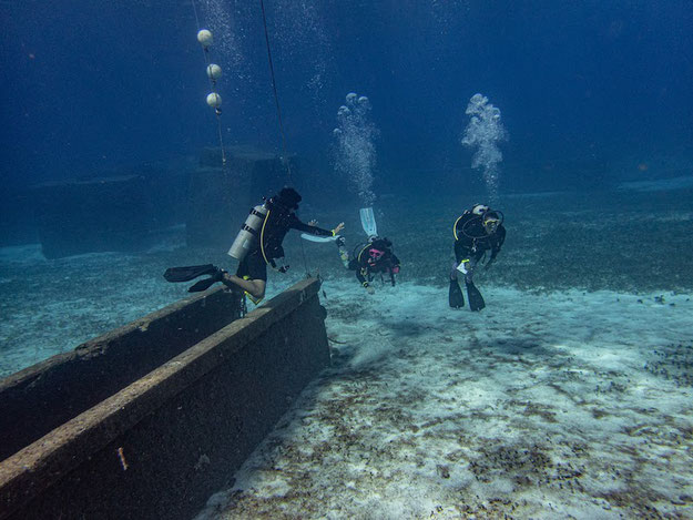 ScubaHunt Cozumel - are you up for the challenge?