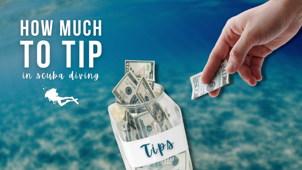 how-much-to-tip-in-scuba-diving-6-questions-answered