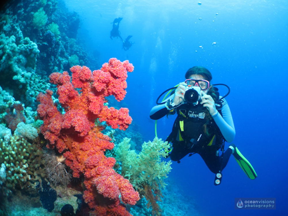 underwater photography reef