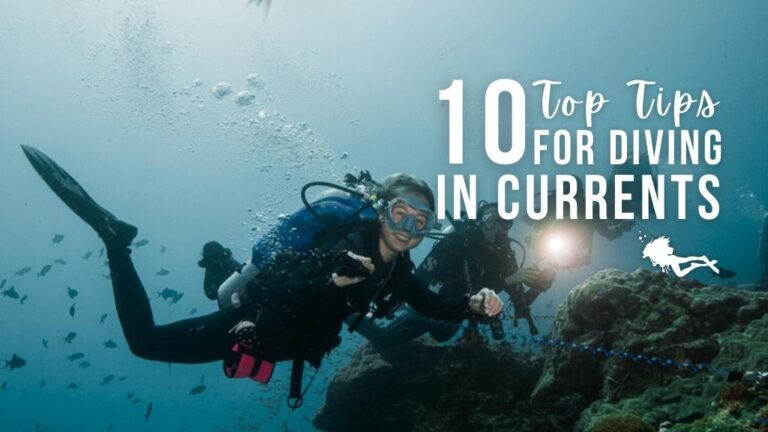 Drift Diving - 10 Tips for Diving in Current